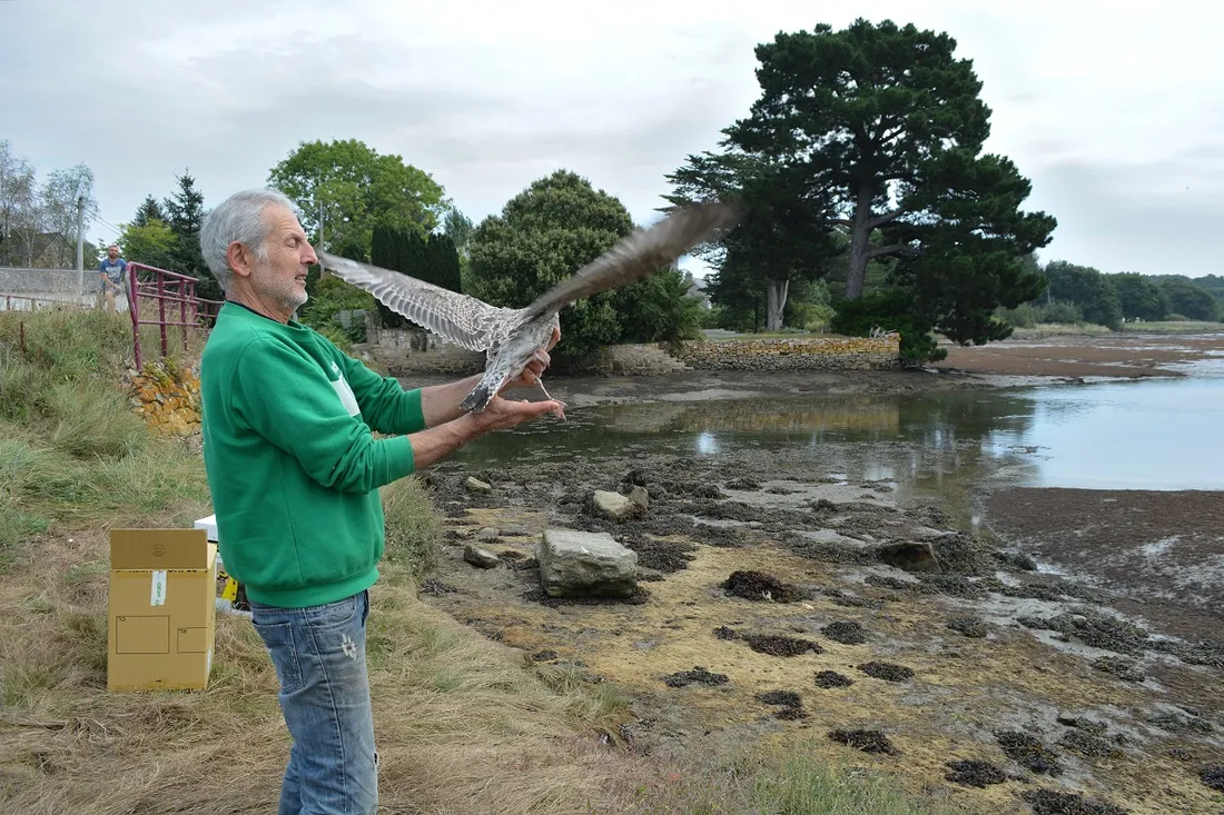 Centre de soins Languidic